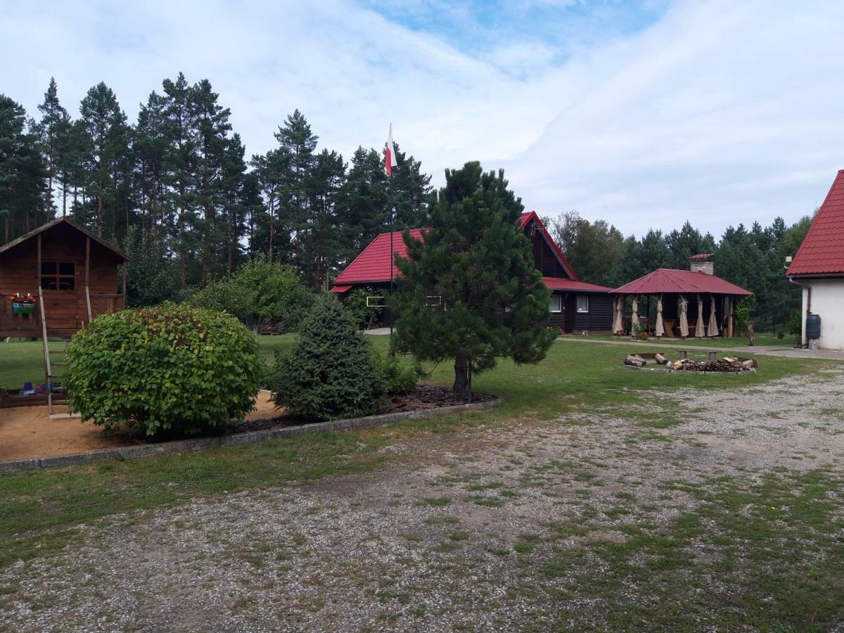 Pokoje W Lesie Miłomłyn 외부 사진