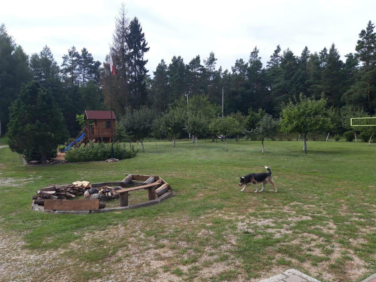 Pokoje W Lesie Miłomłyn 외부 사진